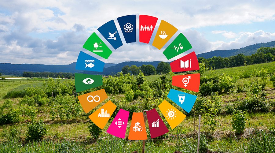 Landschaft mit Grafik zu den 17 Sustainable Development Goals