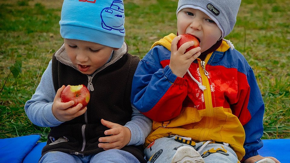 Zwei kleine Jungen mit Mützen sitzen auf einer blauen Decke auf dem Rasen und esesn einen Apfel. 