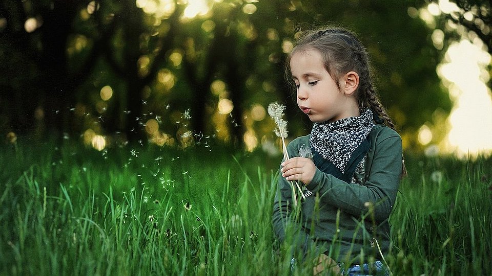 Ein Mädchen mit geflochtenem Haarzopf sitzt auf einer grünen Wiese und pustet eine Blüte Löwenzahn.