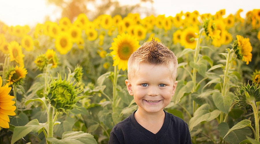 Ein kleiner Junge steht vor einem Feld mit blühenden Sonnenblumen, im Hintergrund das Licht des Sonnenuntergangs. Der Junge hat blonde Stoppelhaare und lächelt. 