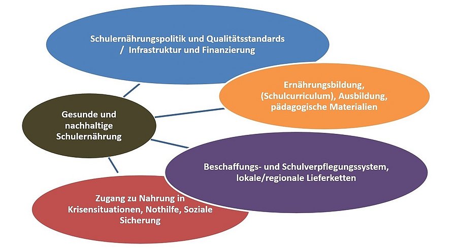 Schaubild zeigt Handlungsfelder von Schulernährung bei einer Politik gegen Hunger.