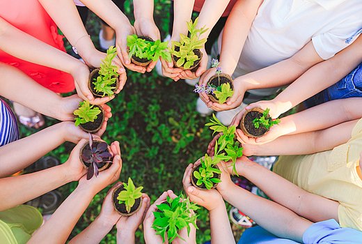 Kinder stehen im Kreis und halten viel kleine Pflanzen 