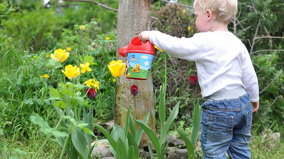 Kleinkind gießt Blumen 