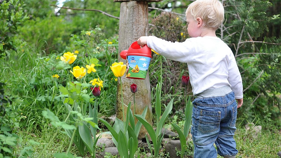 Kleinkind gießt Blumen 