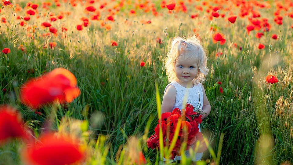 Ein kleines blondes Mädchen im weißen Sommerkleid steht am Rand eines Getreidesfeldes, in dem viele rote Mohnblumen wachsen..