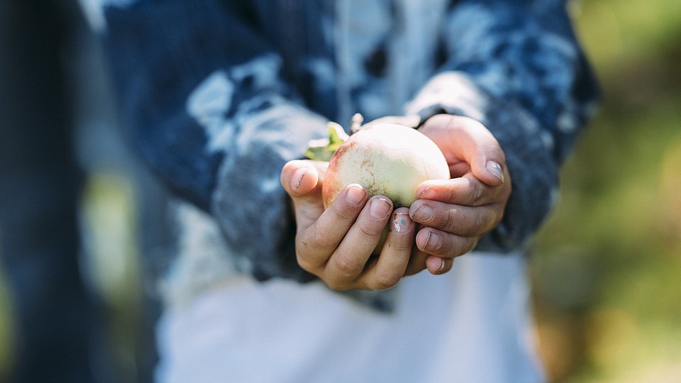 Kind hält beschützend eine Kohlrabi in den Händen. 