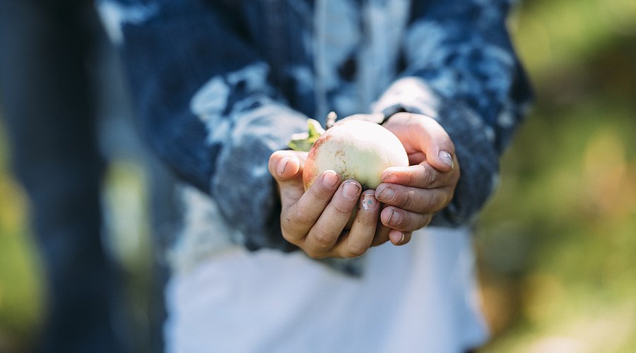 Kind hält beschützend eine Kohlrabi in den Händen. 