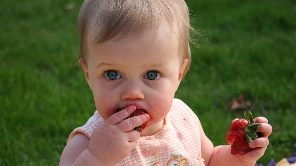 Ein Baby sitzt auf dem Rasen und isst mit beiden Händen eine Erdbeere.