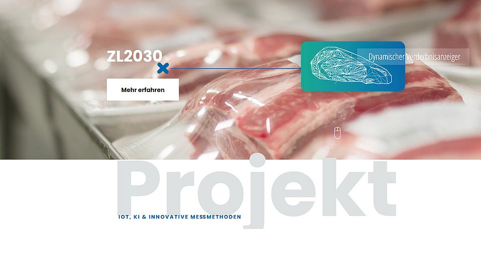 Screenshot Projekt Zukunftslabor 2030