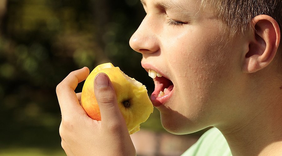 Ein jugendlicher blonder und kurzhaariger Junge beißt herzhaft in einen Apfel. 