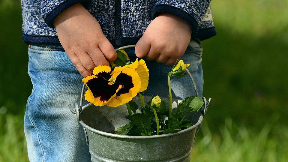 Kind hält einen Blecheimer mit einer Blume in der Hand. 